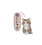 猫ちゃんのシンプルなスタンプです（個別スタンプ：20）