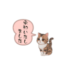 猫ちゃんのシンプルなスタンプです（個別スタンプ：24）