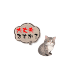 猫ちゃんのシンプルなスタンプです（個別スタンプ：26）