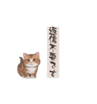 猫ちゃんのシンプルなスタンプです（個別スタンプ：27）