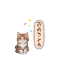 猫ちゃんのシンプルなスタンプです（個別スタンプ：28）