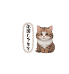 猫ちゃんのシンプルなスタンプです（個別スタンプ：30）