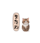 猫ちゃんのシンプルなスタンプです（個別スタンプ：31）