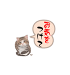 猫ちゃんのシンプルなスタンプです（個別スタンプ：33）