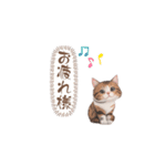 猫ちゃんのシンプルなスタンプです（個別スタンプ：36）