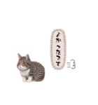 猫ちゃんのシンプルなスタンプです（個別スタンプ：37）