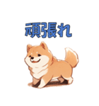 柴犬のコタロウ（個別スタンプ：5）