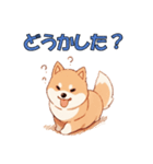 柴犬のコタロウ（個別スタンプ：10）