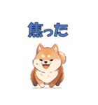 柴犬のコタロウ（個別スタンプ：13）