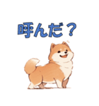 柴犬のコタロウ（個別スタンプ：15）