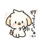 ボサ可愛いチワプーのてんくん(子犬)（個別スタンプ：4）