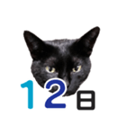 黒猫ぐー姫カレンダー（前半）（個別スタンプ：13）