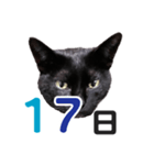 黒猫ぐー姫カレンダー（後半）（個別スタンプ：2）