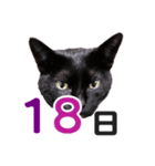 黒猫ぐー姫カレンダー（後半）（個別スタンプ：3）