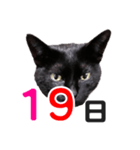黒猫ぐー姫カレンダー（後半）（個別スタンプ：4）