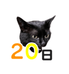 黒猫ぐー姫カレンダー（後半）（個別スタンプ：5）