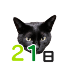 黒猫ぐー姫カレンダー（後半）（個別スタンプ：6）