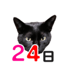 黒猫ぐー姫カレンダー（後半）（個別スタンプ：9）