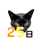 黒猫ぐー姫カレンダー（後半）（個別スタンプ：10）