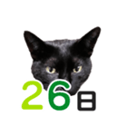 黒猫ぐー姫カレンダー（後半）（個別スタンプ：11）