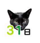 黒猫ぐー姫カレンダー（後半）（個別スタンプ：16）