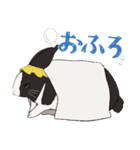 PANDA✕USAGI（個別スタンプ：6）