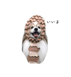 はまだじんくん（個別スタンプ：1）