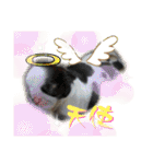 めめわん2（個別スタンプ：24）