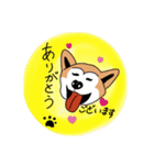 しば犬の日常スタンプです（個別スタンプ：2）