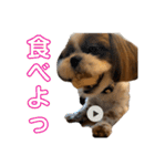 ぼく、1歳（個別スタンプ：7）