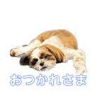 ぼく、1歳（個別スタンプ：9）