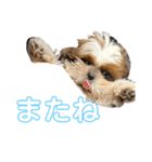 ぼく、1歳（個別スタンプ：12）