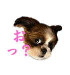 ぼく、1歳（個別スタンプ：14）