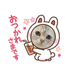 世界のギンちゃん（個別スタンプ：6）