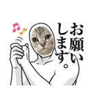 世界のギンちゃん（個別スタンプ：7）