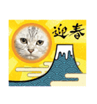 世界のギンちゃん（個別スタンプ：12）