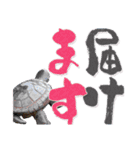 レジェンドクリーンスタンプ卍（個別スタンプ：15）