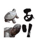 レジェンドスタンプサブ（個別スタンプ：12）