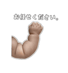 我が子すたんぷ。その②（個別スタンプ：13）