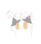 3ひきの猫たち（個別スタンプ：37）