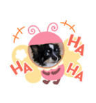 ユズワン（個別スタンプ：5）