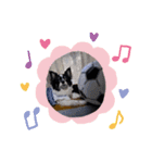 ユズワン（個別スタンプ：7）