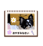 ユズワン（個別スタンプ：8）