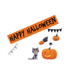 猫ちゃんハロウィンスタンプ（個別スタンプ：1）