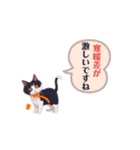 猫ちゃんハロウィンスタンプ（個別スタンプ：25）