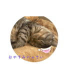 ルルだなにゃスタンプ（個別スタンプ：8）