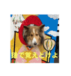 むらよし_シェルティ_2（個別スタンプ：38）