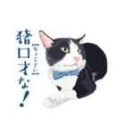 おもしろ昭和コトバをしゃべる猫 ♪（個別スタンプ：1）
