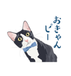 おもしろ昭和コトバをしゃべる猫 ♪（個別スタンプ：2）