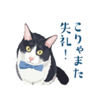 おもしろ昭和コトバをしゃべる猫 ♪（個別スタンプ：3）